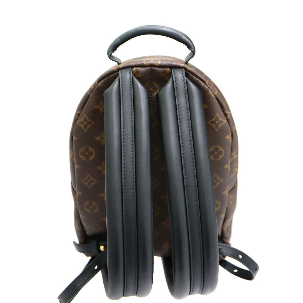 Louis Vuitton Palm Springs Backpack Monogram Reverse Brown